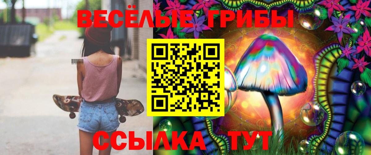 Ярославль  Галлюциногенные грибы мицелий  Вход с VPN 