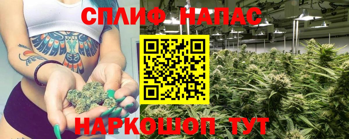 Конопля сатива Ярославль